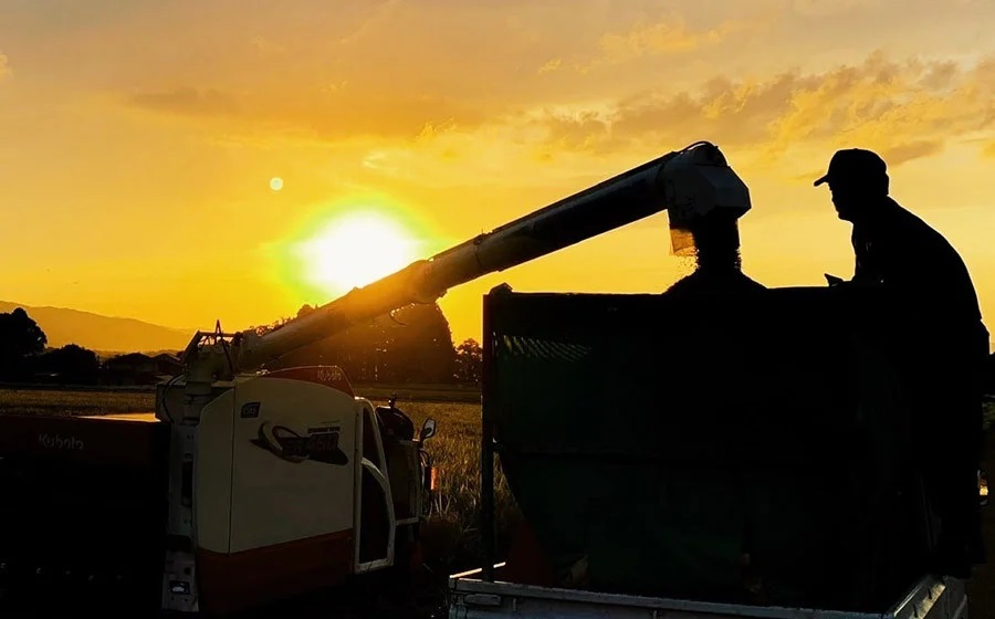 【令和7年産米】庄内おばこ農場の特別栽培米 はえぬき【玄米】10kg（10kg×1袋）　K-784