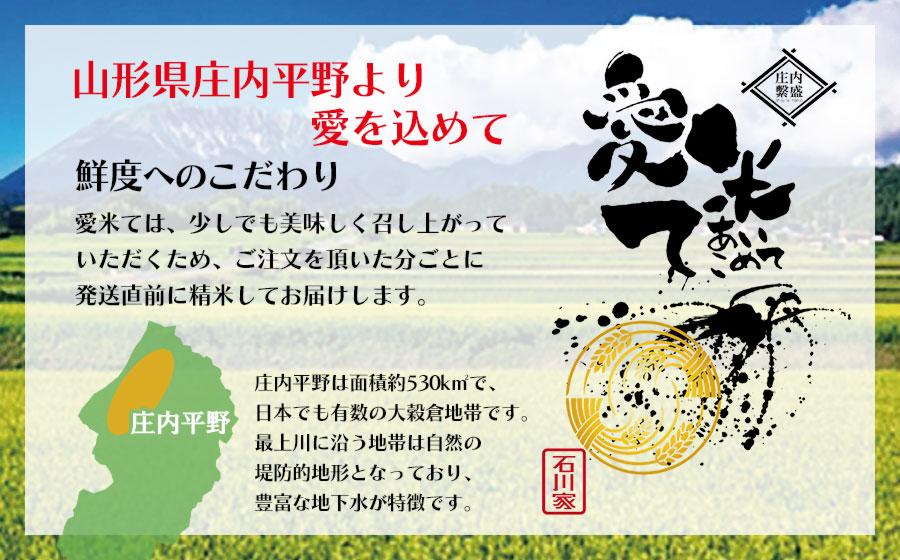 【令和7年産】【新米】雪若丸　10kg（5kg×2袋）　山形県鶴岡市産　愛米て