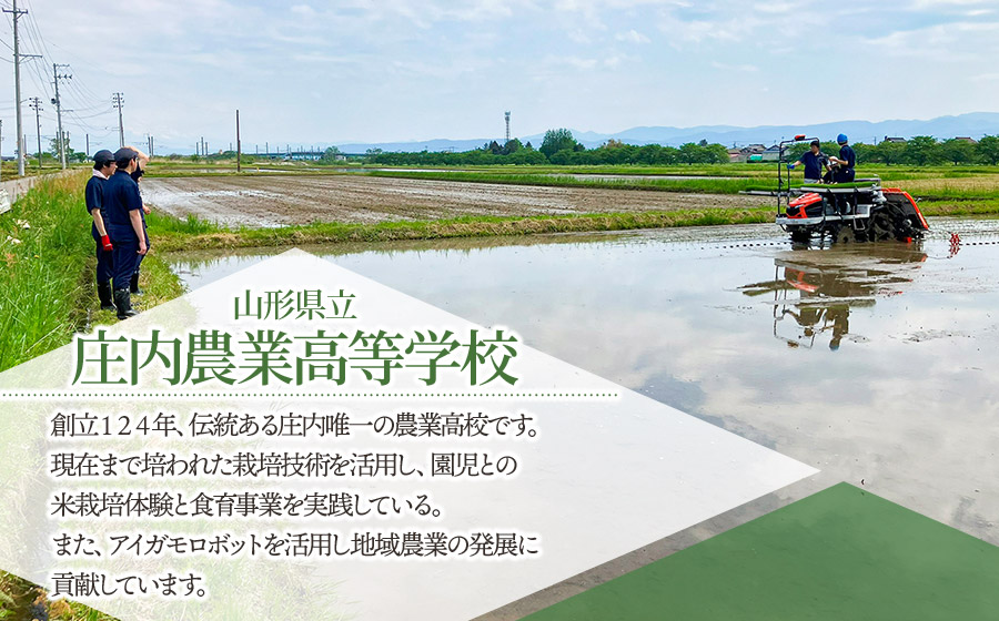 【令和7年産】 山形県立庄内農業高等学校の生徒が栽培したミルキークイーン 精米3kg　山形県鶴岡市