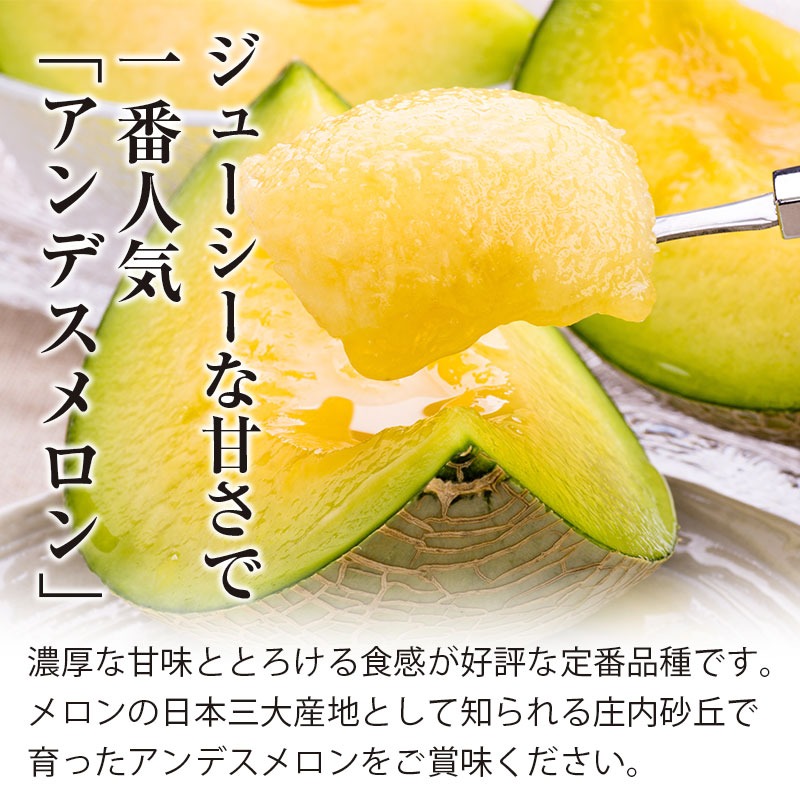 【令和6年産先行予約】 秋どりアンデスメロン 約5kg（3～4玉入） 山形県鶴岡市産 庄内砂丘メロン　小林ファーム