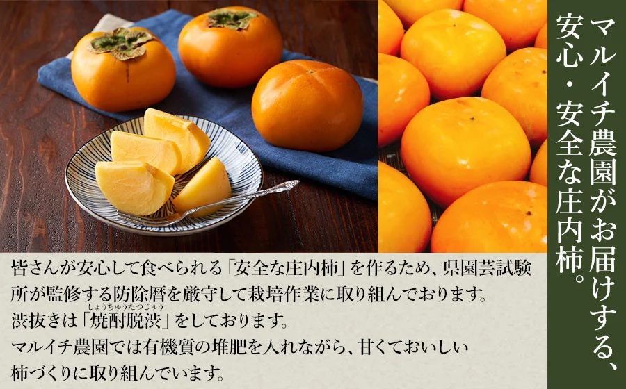 【令和8年産先行予約】庄内柿 Mサイズ以上 5kg マルイチ農園