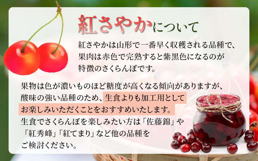 【令和7年産先行予約】さくらんぼ 紅さやか M～Lサイズ混合 バラ詰め 800g(200g×4p)　山形県鶴岡市産　鈴木正農園