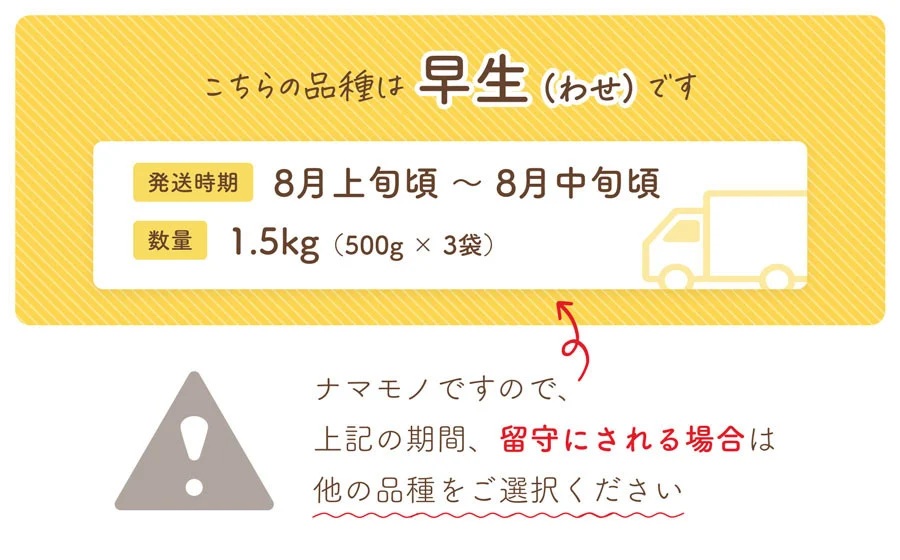 【令和8年産先行予約】 だだちゃ豆(早生)　 1.5kg　 (500g×3袋) 　だだちゃ喜左衛門株式会社