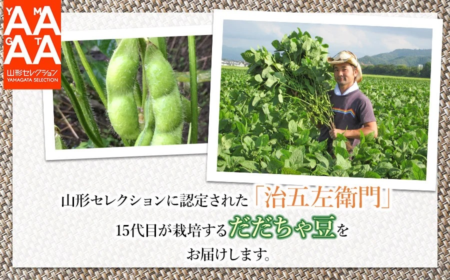 【令和8年産先行予約】【3回定期便】 山形セレクション認定！15代目「治五左衛門」の新鮮だだちゃ豆３種類食べくらべセット