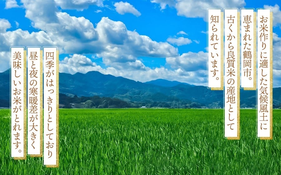【令和8年産先行予約】 はえぬき（庄内米） 精米　10kg(5kg×2袋)　農家 長四郎