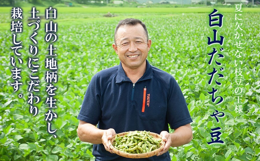 数量限定【令和8年産先行予約】 白山だだちゃ豆　4kg（500g × 8袋） + 訳あり200g　鶴岡市白山産　長五郎