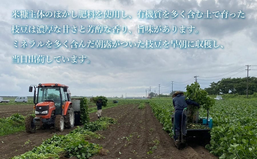 【令和7年産先行予約】 山形県鶴岡市産 早生枝豆 「おつな姫」2kg+訳あり品500g　株式会社アグリシア