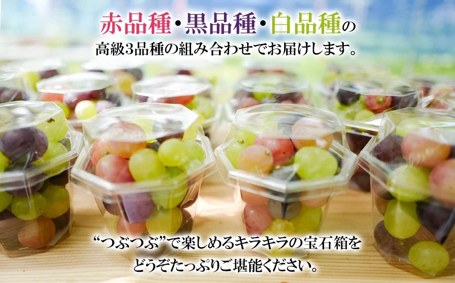 【令和8年産先行予約】お楽しみ！旬のぶどうのカラフル宝石箱 330g×5カップ　カラフルぶどう園