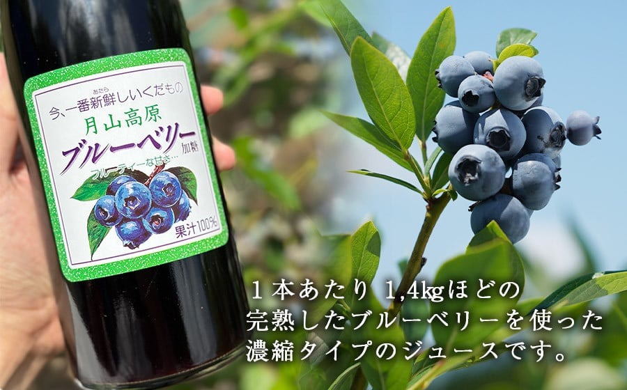 月山高原鈴木農園のブルーベリージュース【加糖】３本セット　K-669