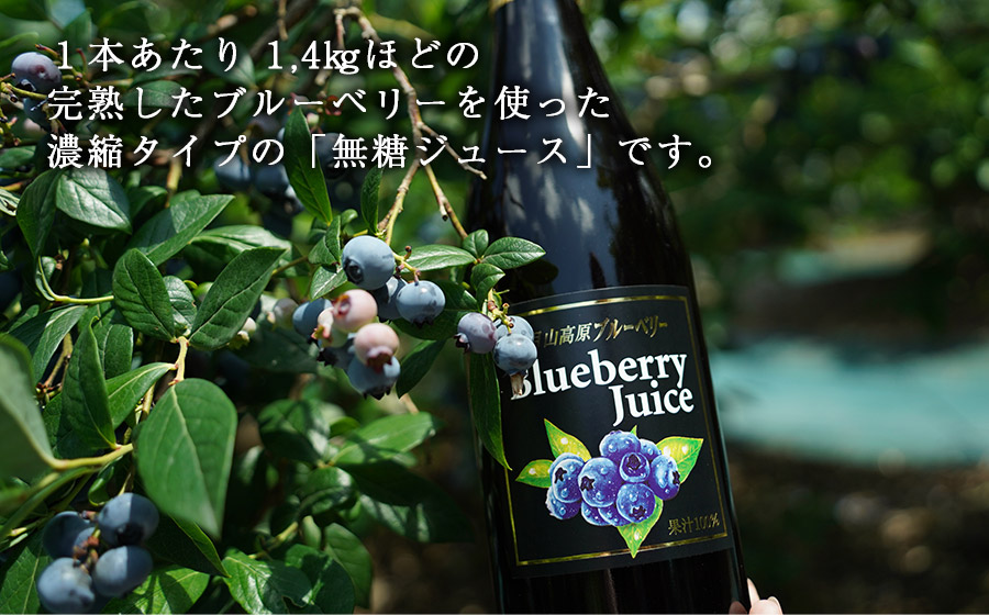 月山高原鈴木農園のブルーベリージュース【無糖】３本セット　有機栽培　K-669