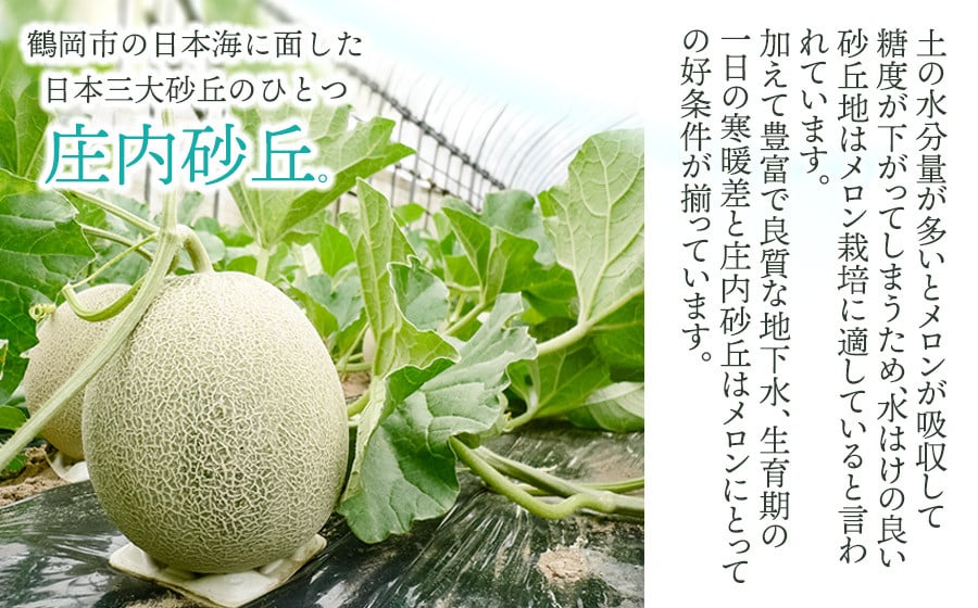 【令和8年産先行予約】 庄内砂丘青肉・赤肉メロン食べ比べ 各2玉 (計4玉) 約5kg 山形県鶴岡市産　株式会社 元青果