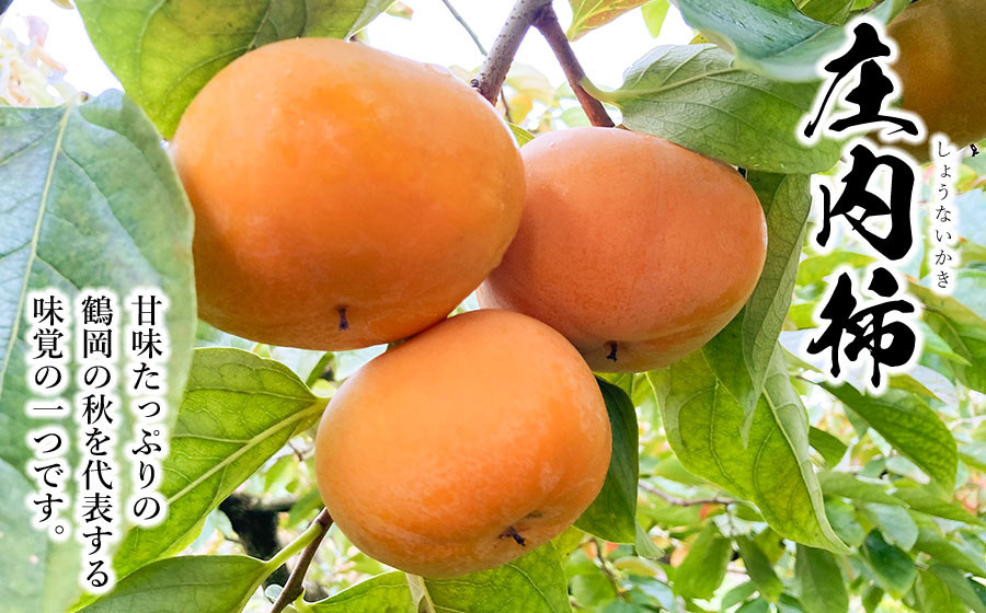【令和8年産 先行予約】厳選 庄内柿　L 又は 2Lサイズ　約10kg (5kg×2箱) （48～52個）　株式会社 元青果