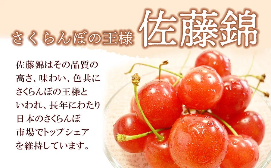 【令和8年産先行予約】 さくらんぼ 佐藤錦 (L又は2Lサイズ) 1kg バラ詰め 山形県鶴岡市産　株式会社 元青果
