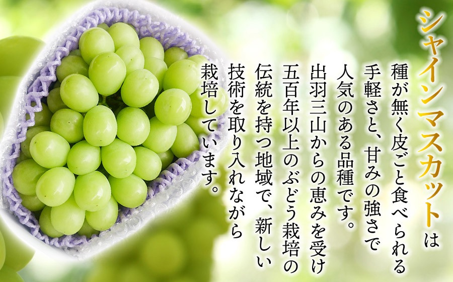 【令和8年産先行予約】シャインマスカット 約700g　丸果庄内青果