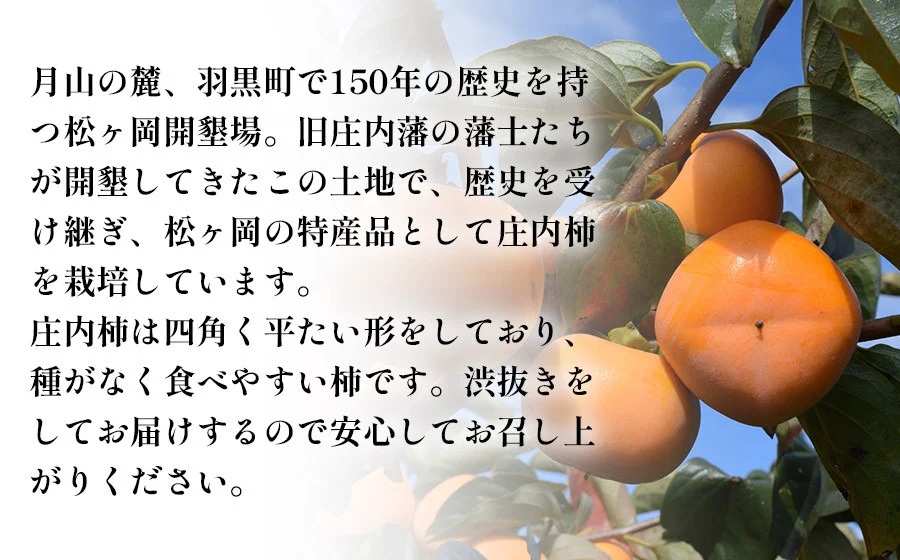 【令和8年産先行予約】羽黒松ヶ岡 庄内柿　約5kg　丸果庄内青果