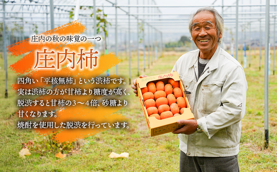 【令和8年産先行予約】　庄内柿　M～Ｌ　約3kg　佐藤農園