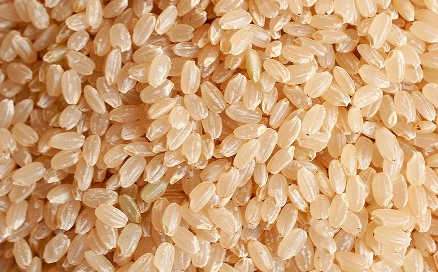 【令和8年産先行予約】特別栽培米つや姫 玄米 30kg(30kg×1袋)　山形県鶴岡市 佐藤農園