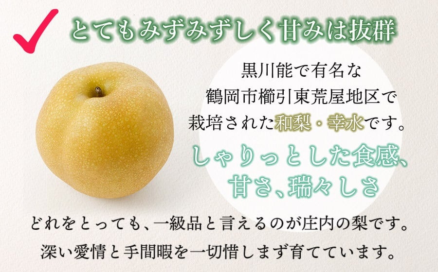 【令和7年産先行予約】 東荒屋産 幸水　(和梨)  3kg　山形県鶴岡市 鶴岡中央青果