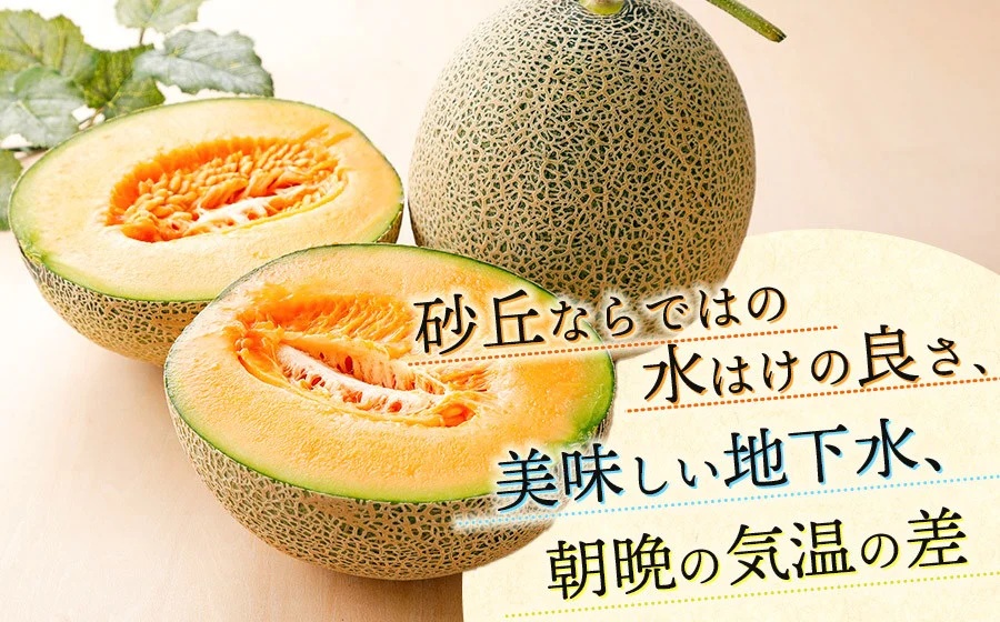 【令和7年産】 庄内産メロン 【赤肉】3～5玉　約5kg 糖度13度以上 山形県鶴岡市 鶴岡中央青果