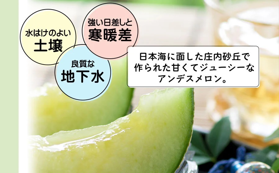 【令和8年産先行予約】 アンデスメロン 約5kg(3～5玉) 山形県鶴岡産 庄内砂丘メロン　白砂ファーム