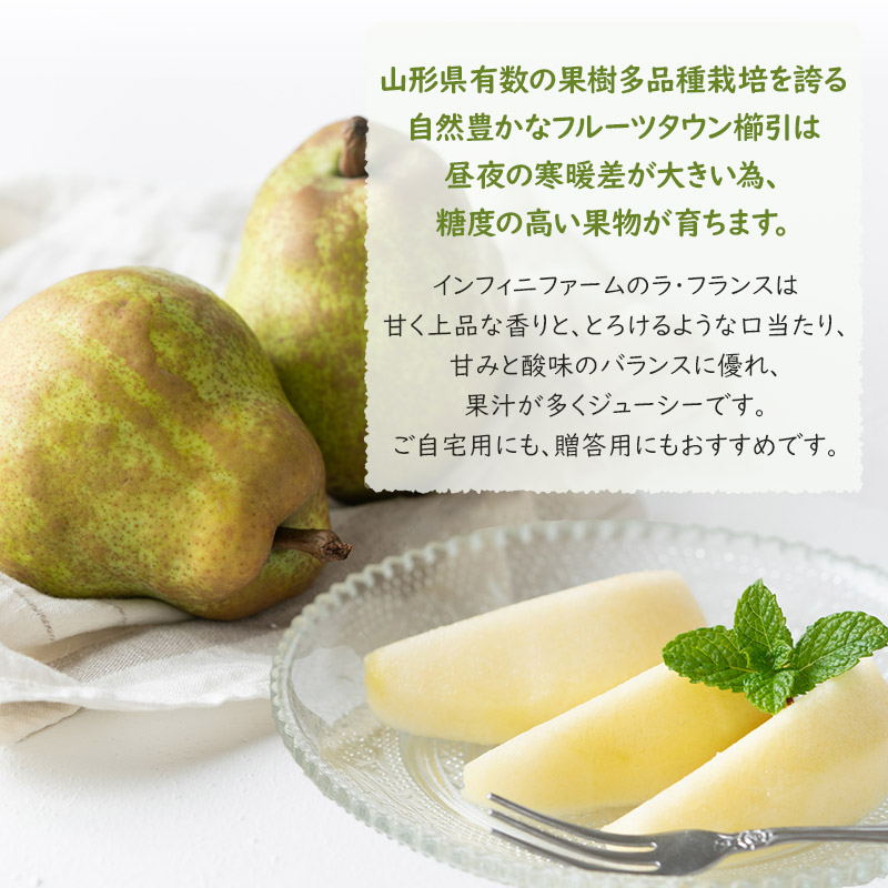 【令和7年産先行予約】鶴岡市産洋梨 ラ・フランス 約3kg（8～12玉）　インフィニファーム　K-728
