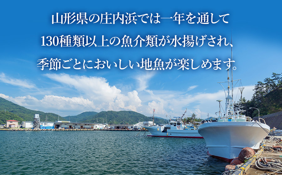 浜のかあちゃんの店　鼠ヶ関港水揚干物＋イカ塩辛＋乾燥紅えびセット　鼠ヶ関水産加工生産組合