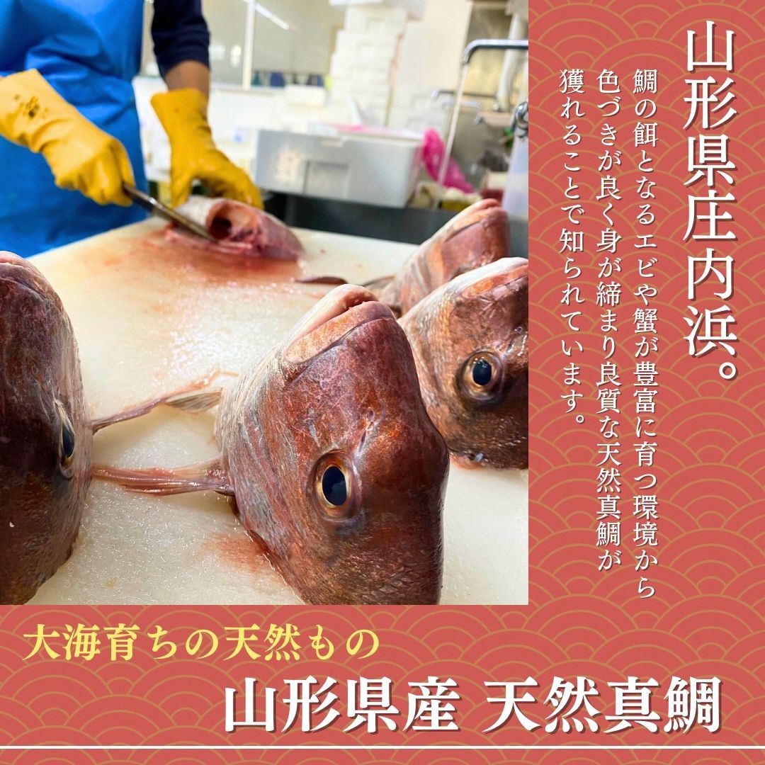 山形県産天然真鯛 昆布〆 3パック(80g×3)　 (有)出羽鮮魚