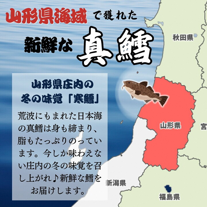 【令和8年発送】「寒鱈汁セット 2～3人前」真鱈  山形県産 たら 白子 どんがら汁　(有)出羽鮮魚