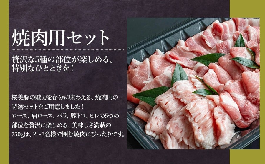 鶴岡産三元豚「桜美豚」焼肉用セット（ロース・肩ロース・バラ・豚トロ・ヒレ）約750g（2～3人前）　K-736　豚肉　長南牛肉店