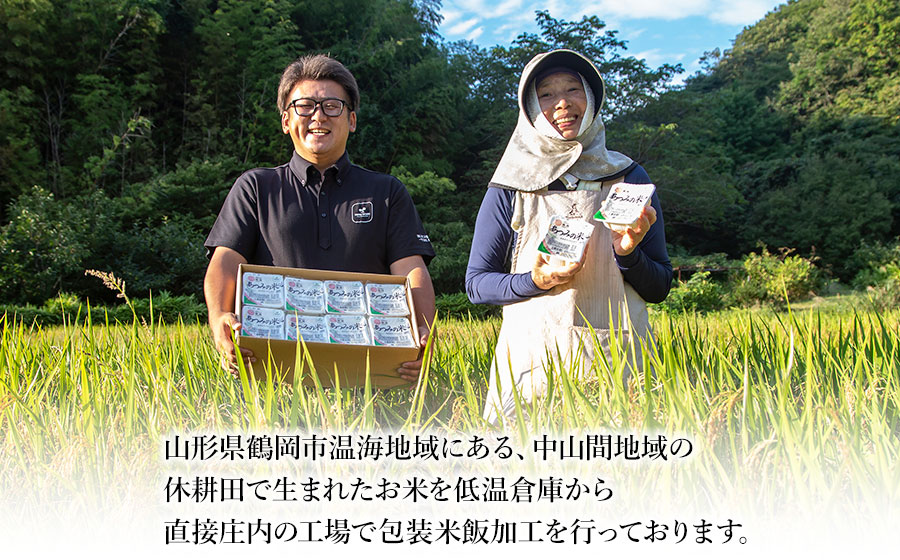 あったかご飯・あつみの米パックライス（180ｇ×24P）　K-734