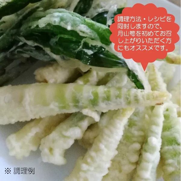 【令和8年産先行予約】月山筍（ネマガリダケ） サイズミックス2kg　がっさん たけのこ　鶴岡市朝日東部地区自治振興会