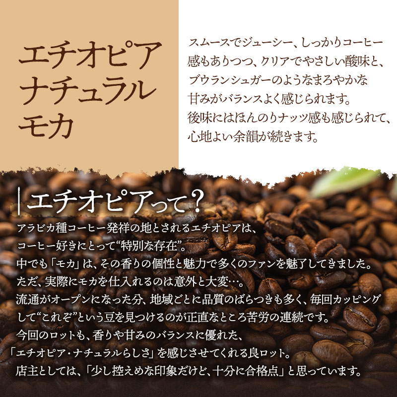 千一珈琲　コーヒー豆：エチオピアナチュラルモカ91g　[K-710]