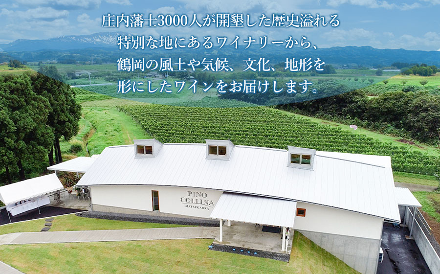 ワイン　「メルロー2023（赤）」「鶴岡甲州2024（白）」750ml×2本入　株式会社エルサン　国産 日本ワイン
