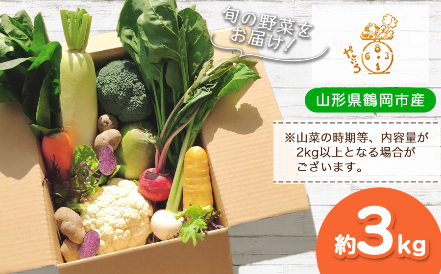 旬のおいしい野菜詰合せセット 約3kg　やさいろ