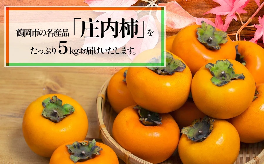 【令和7年産 先行予約】庄内柿 秀品 L～4L 約5kg（22～32玉）　山形県鶴岡市産