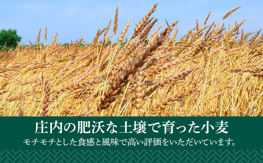 月山小麦 生麺セット K-731　有限会社 富樫製麺