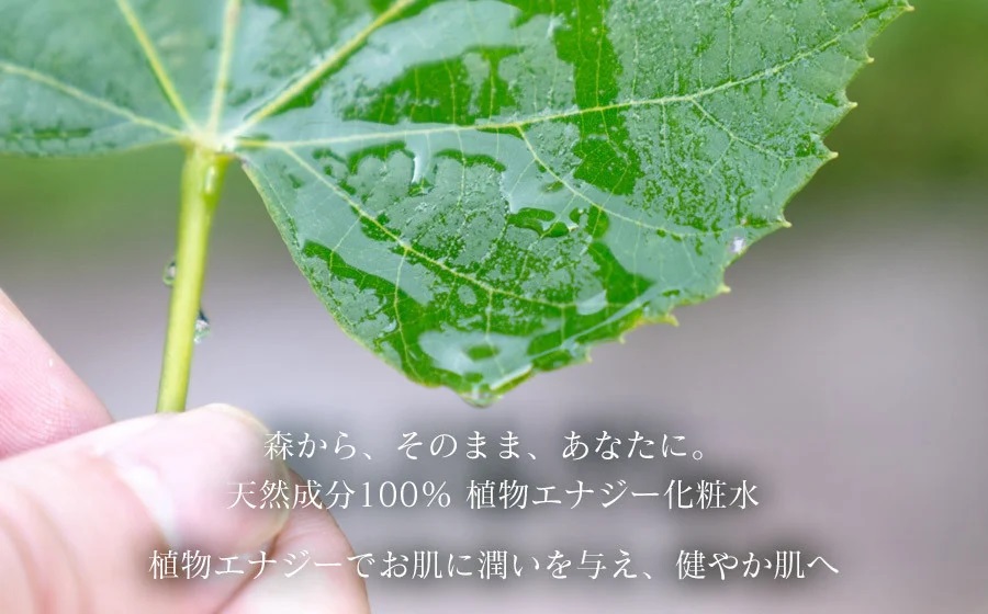 【天然成分100%化粧水】umunowaしなの花水　羽越のデザイン企業組合　A75-801