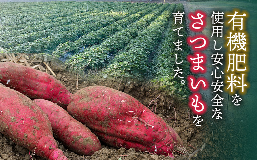 やまさの干し芋　130ｇ×5袋　壺焼き芋専門店やまさ