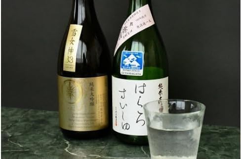 日本酒 コンクール最高金賞・金賞受賞酒セット (720ml×2本) 飲み比べ　K11-798