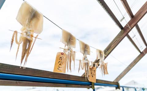 Green Blue あつみ「鼠ヶ関　イカの一夜干し作り体験」