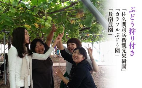 【※事前予約要】山形県鶴岡市　もぎっとくしびき「ぶどう果樹園入場券付宿泊プラン」