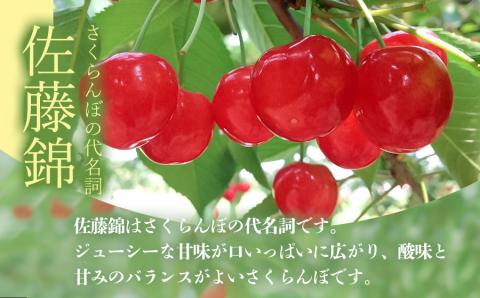 【令和6年産先行予約】佐藤錦 2L～Lサイズ混合 バラ詰め 1kg　小林農園 さくらん坊