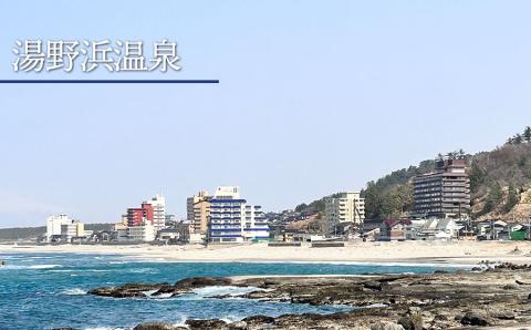 山形県鶴岡市内共通宿泊券 【10,000円×1枚】　DEGAM鶴岡ツーリズムビューロー