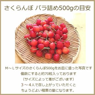 【2024年 令和6年産 先行予約】さくらんぼ 佐藤錦 秀選バラ詰め【500g】（Lサイズ）　株式会社 清川屋