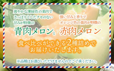 【令和6年産先行予約】 庄内砂丘青肉・赤肉メロン食べ比べ 各2玉 (計4玉) 約5kg 山形県鶴岡市産　株式会社 元青果