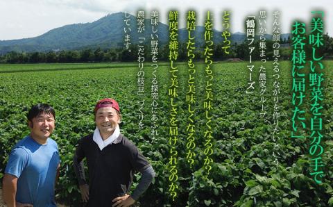 【令和6年産先行予約】【定期便】 朝採りだだちゃ豆　だだちゃ豆好き必見！毎週お届け！４回発送 1.8kg(600g×3袋)×4回　山形県鶴岡市産　鶴岡ファーマーズ