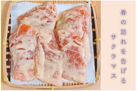 【春の訪れを味わえる】サクラマス味噌粕漬け（大ぶり切り身５切れ）
