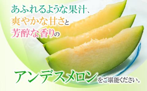 【令和6年産先行予約】鶴岡産砂丘メロン 秀逸品 アンデスメロン 大玉2個(青玉)　成澤農園　A05-602