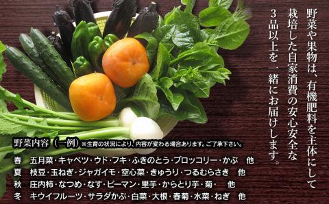 【令和6年産 先行予約】 特別栽培米 つや姫（タニシ米） 10kg（5kg×2袋）と農家の食べる野菜・果物　山形県鶴岡産　アベ・アグリ米