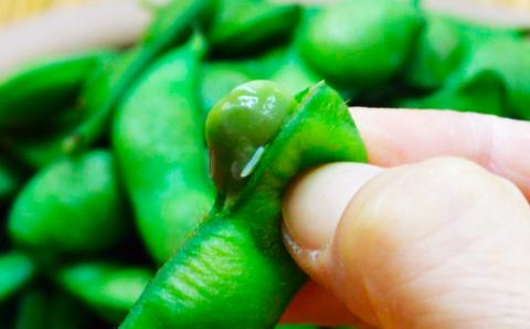 神の枝豆と呼ばれた與惣兵衛の冷凍だだちゃ豆800ｇ